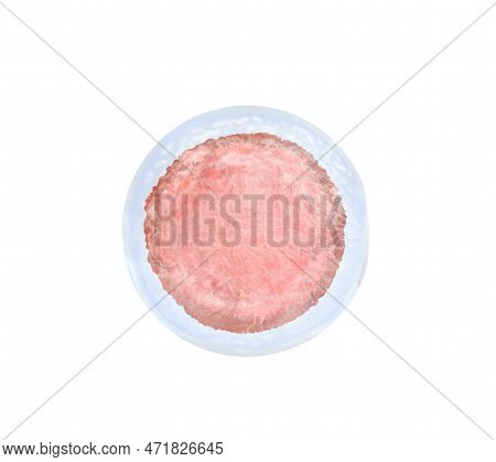 Ovum (egg Cell) On White Background, Illustration