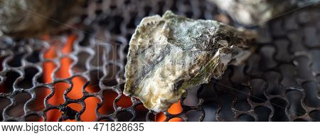 Grilled Fresh Oyster In Taiwan, Famous Street Food.