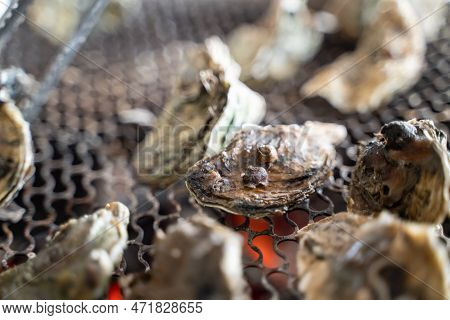 Grilled Fresh Oyster In Taiwan, Famous Street Food.