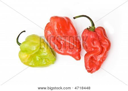 Scotch Bonnet (Habanero) chili paprika.
