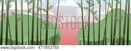 Passage In Bamboo Grove. Sunset Red Pink. Tropical Reed Beds. Jungle And Rainforest Of Southern Lati