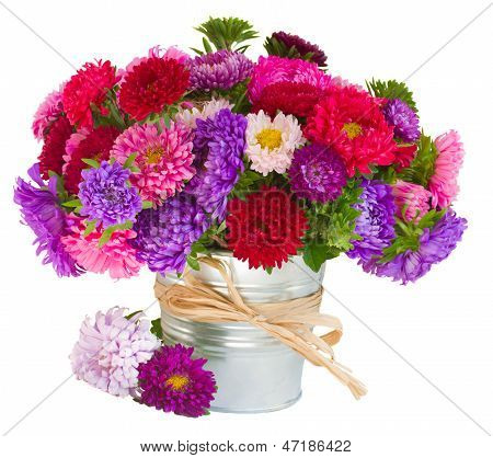 bouquet of   aster flowers in pot