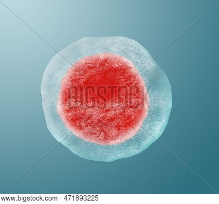 Cryopreservation Of Genetic Material. Ovum On Light Blue Background, Frost Effect