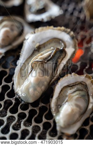 Grilled Fresh Oyster In Taiwan, Famous Street Food.