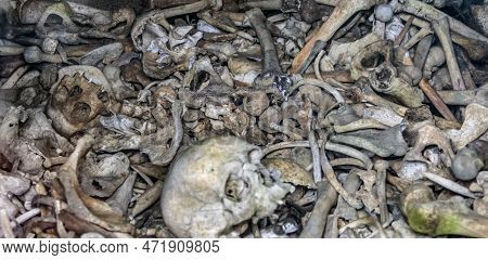 Lots Of Human Bones From Fallen Soldiers Seen At The Douaumont Ossuary, A Memorial Located Near Verd