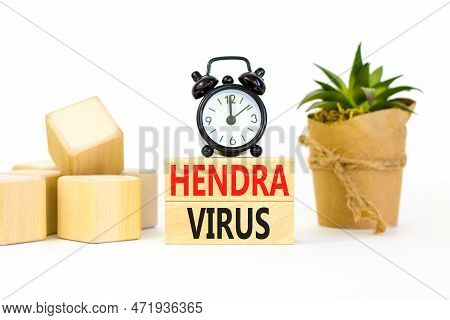 Hendra Virus Symbol. Concept Words Hendra Virus On Wooden Block. Beautiful White Table White Backgro
