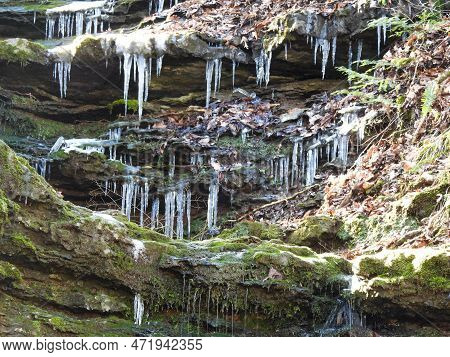 Icicles In A Park In Knoxville, Tennessee