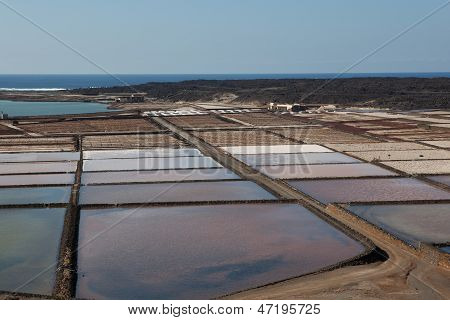 Salinas de janubio