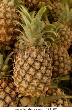 Miód ananas