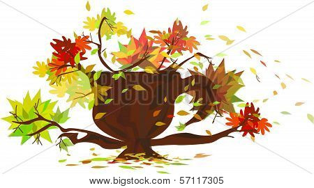 cup of autumn's tea