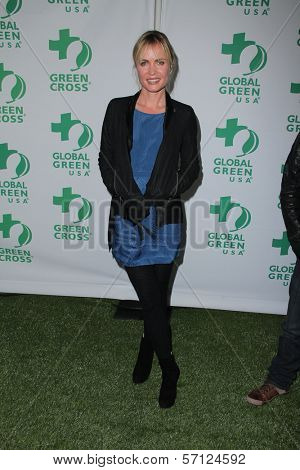 Radha Mitchell  at Global Green USA's 8th Annual Pre-Oscar Party, Avalon, Hollywood, CA. 02-23-11