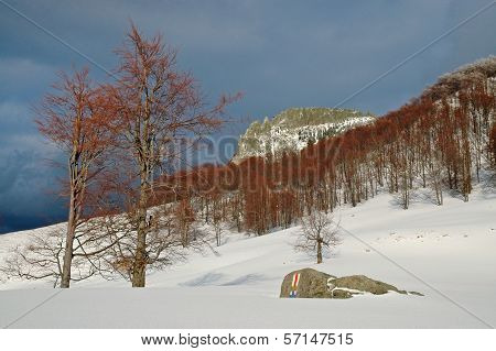 Snow Covered Mountain