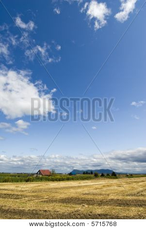 Campo