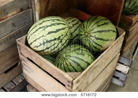 Wassermelone