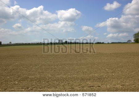 Frühling-Feld