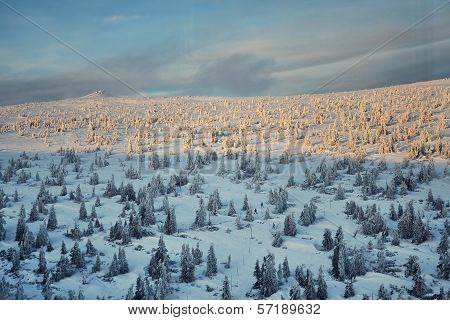 Sunset in a snowy country