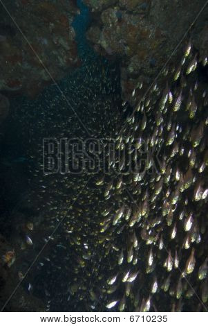 ถ้ำ glassfish