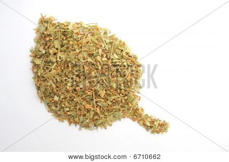 Linden-Blatt