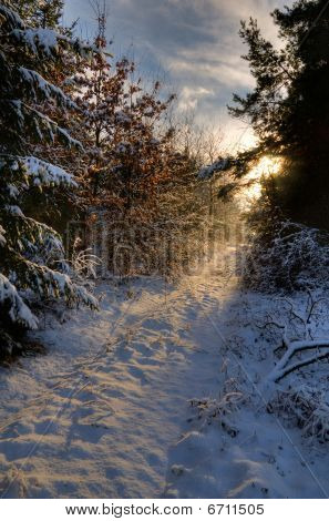 Journée d'hiver