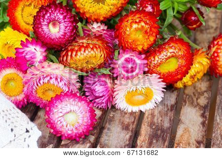 Bouquet of Everlasting flowers on table