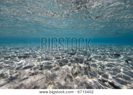 浅瀬もトルコ