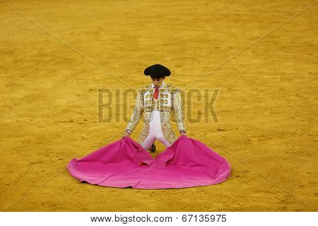 LISBON - JUNE 19: Diogo Peseiro bullfighter performs at a portuguese style bullfighting show in campo pequeno in Lisbon, Portugal, June 19, 2014