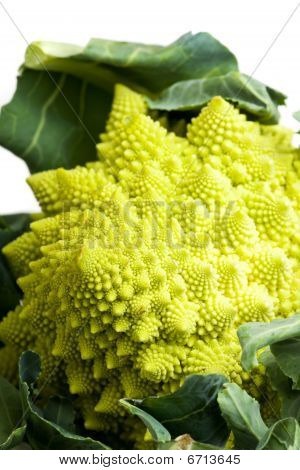 Romanesco