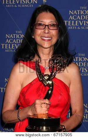 LOS ANGELES - JUN 20:  Christine Lai-Johnson at the 2014 Creative Daytime Emmy Awards at the The Westin Bonaventure on June 20, 2014 in Los Angeles, CA