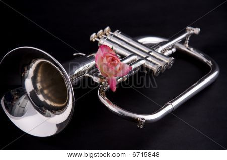 Silver Flugalhorn Isolated On Black