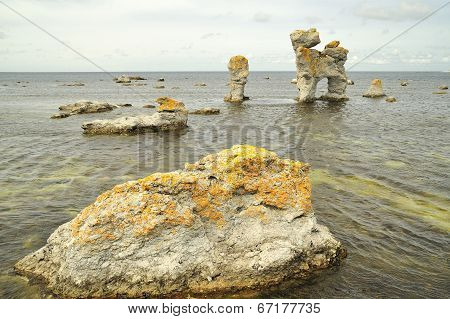 Ocean Rock