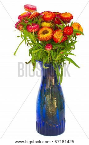 Bouquet Of Everlasting Flowers