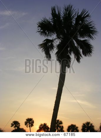 Strand Postkarte