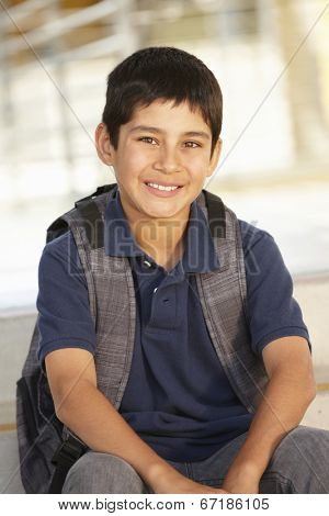 Pre teen boy in school