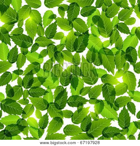 Green leaves seamless pattern