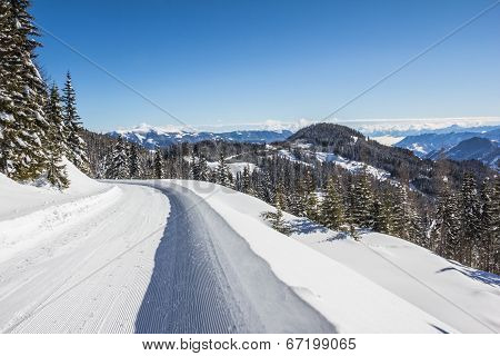 Winter Scenery With Trees Snow And Blue Sky