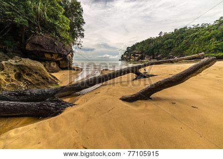 Bako National Park Landscape