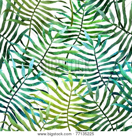 Tropics