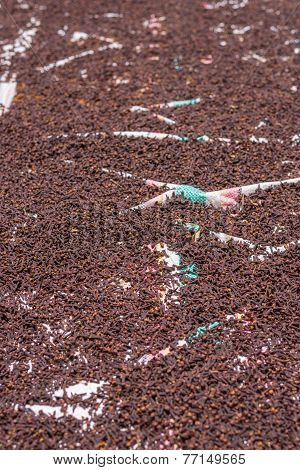 Drying Cloves