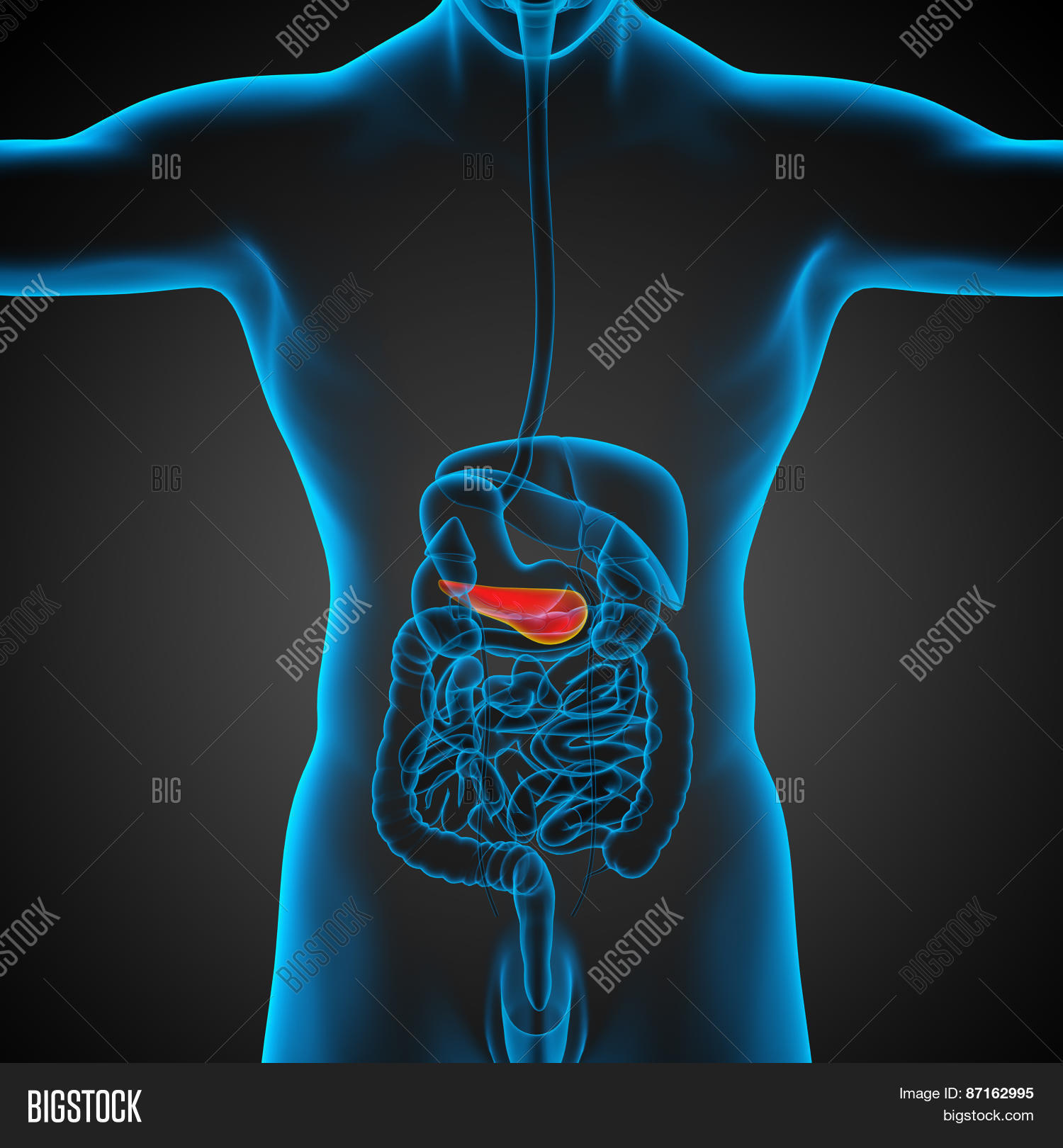 3D Render Medical Image & Photo (Free Trial) | Bigstock