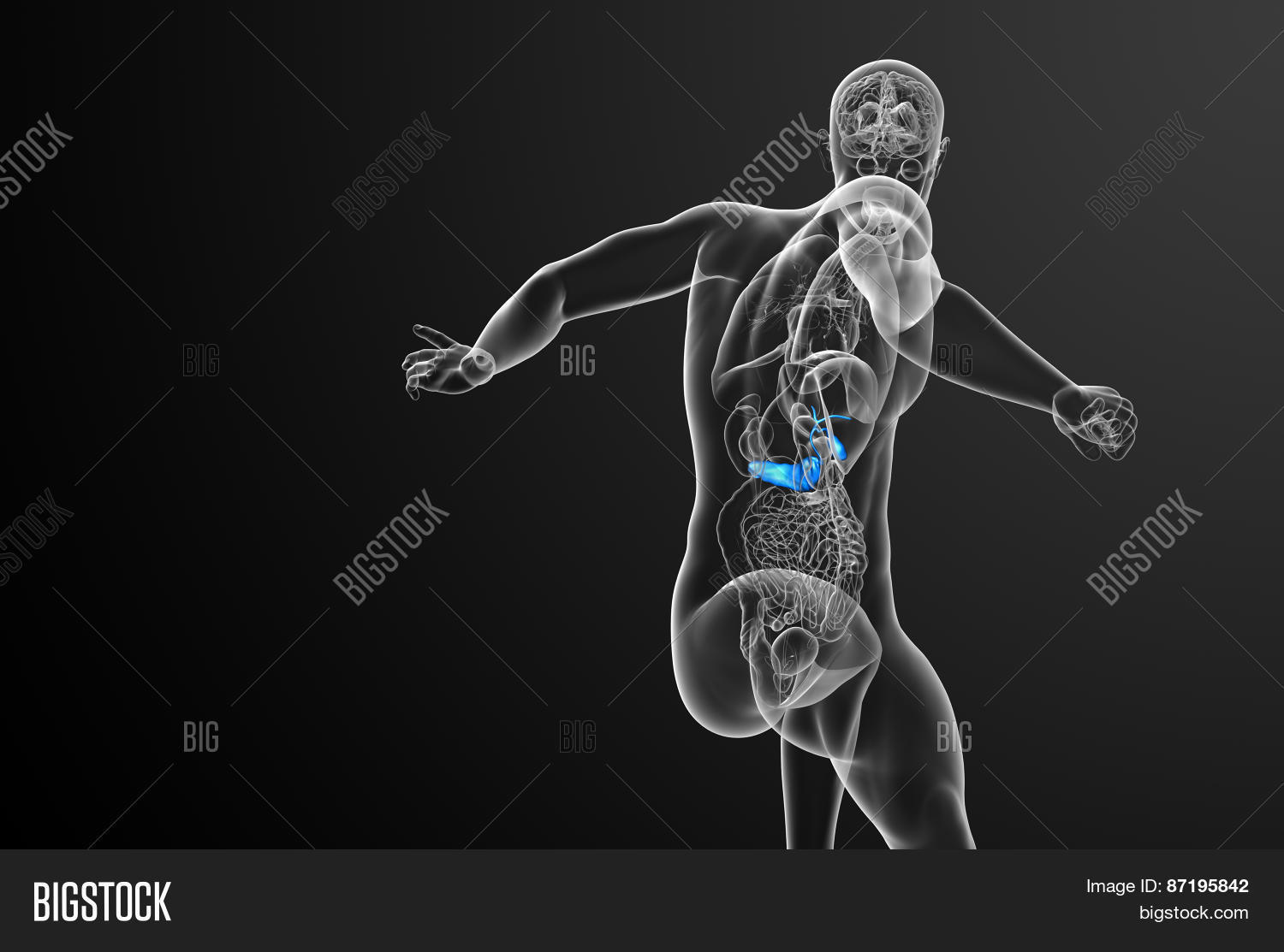 3D Render Medical Image & Photo (Free Trial) | Bigstock