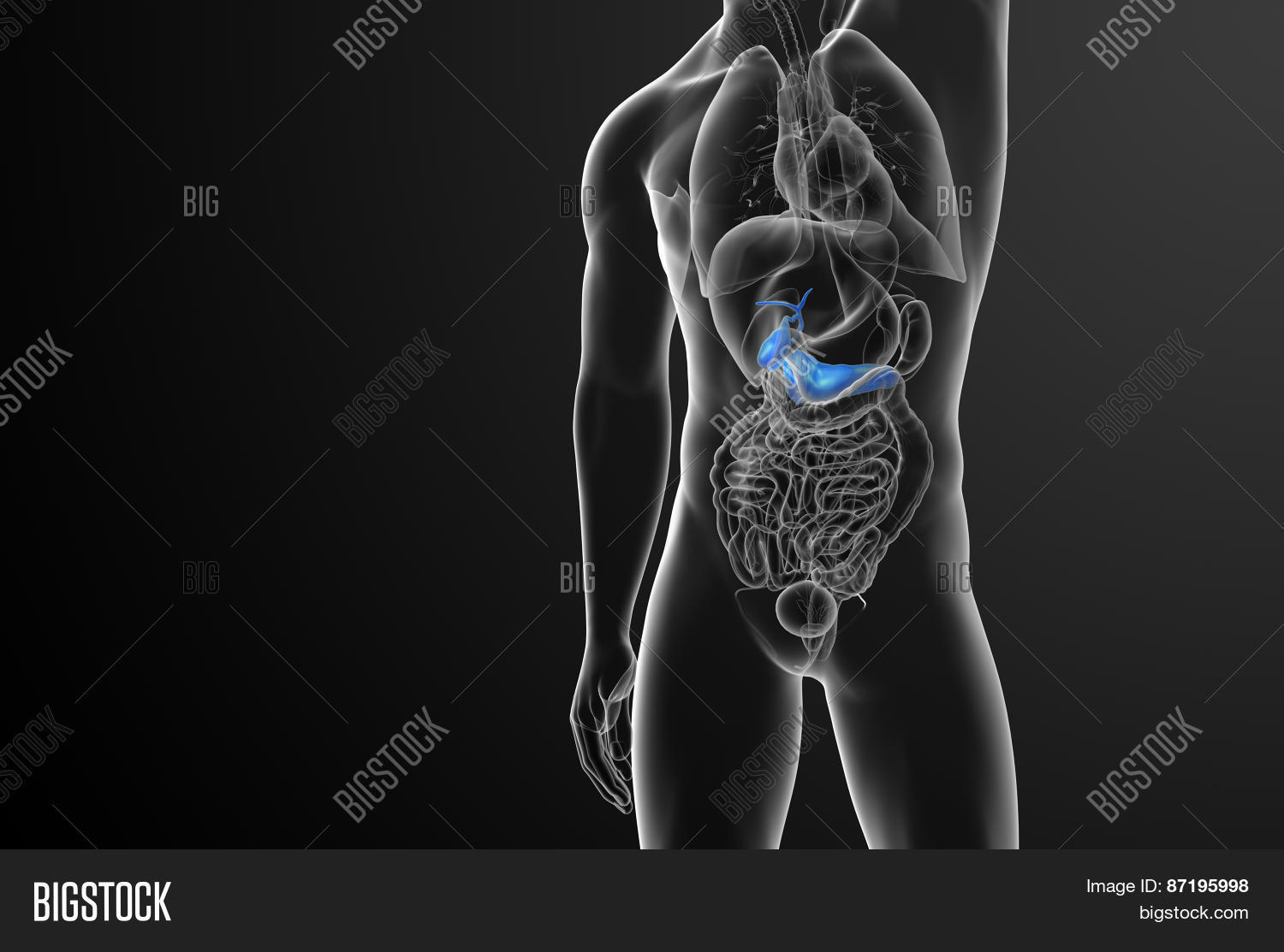 3D Render Medical Image & Photo (Free Trial) | Bigstock