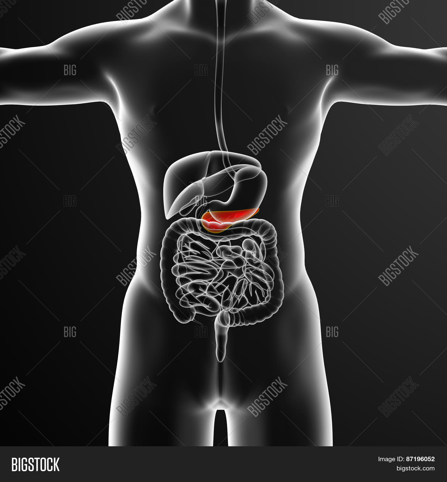 3D Render Medical Image & Photo (Free Trial) | Bigstock