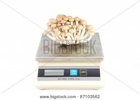 Brown Beech Mushrooms Or Shimeji Mushrooms