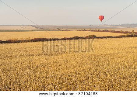 Landscape With Hot Air Balloons