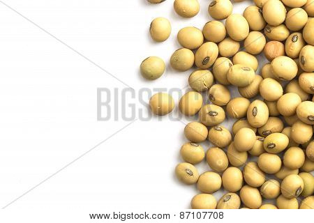 Close Up Soybeans