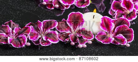 Beautiful Spa Concept Of Blooming Dark Purple Geranium Flower, Beads And Candles In Reflection Water