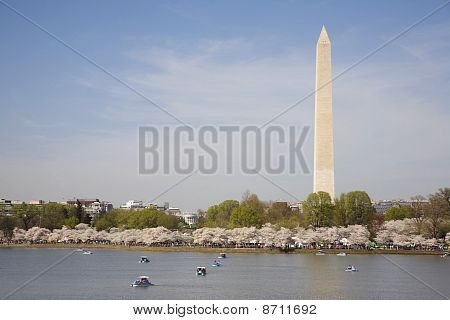 Doprava Washington Monument třešňový květ