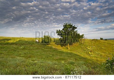 Sunny Blue Sky, Meadow And A Hills Near The Sinemorets