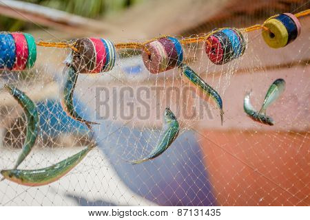 fishing net with fish on natural background