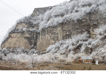 Frozen trees at the hill
